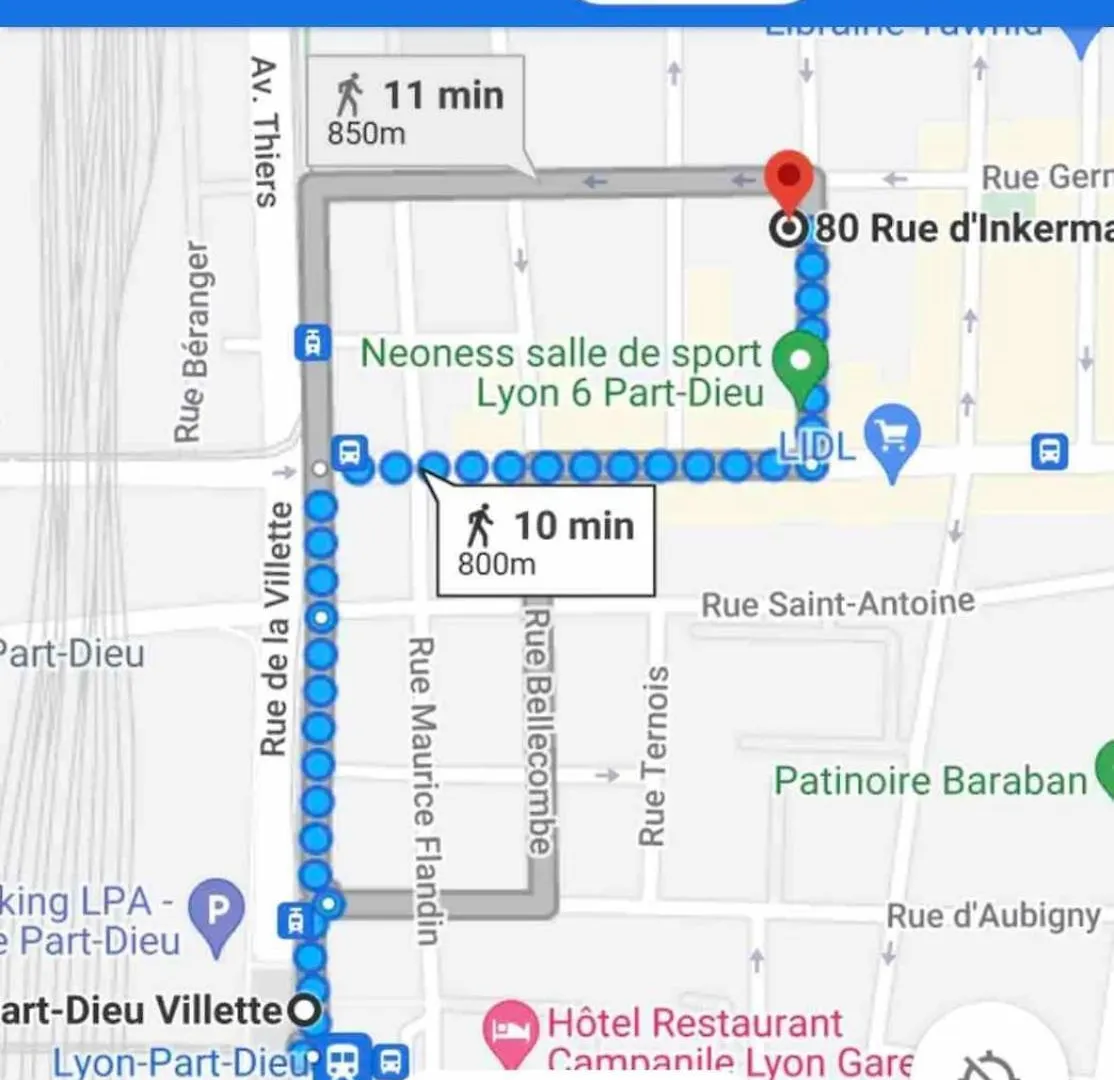 Superbe Appartement Climatise Lione 0*,  Francia